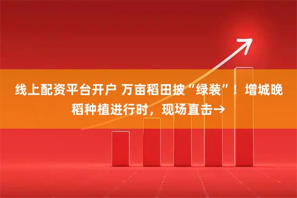线上配资平台开户 万亩稻田披“绿装”！增城晚稻种植进行时，现场直击→