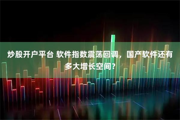 炒股开户平台 软件指数震荡回调，国产软件还有多大增长空间？